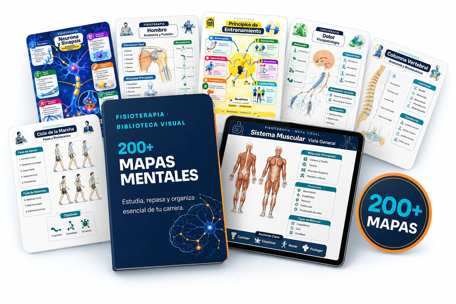 Colección de mapas mentales de Fisioterapia con sello 200+ mapas